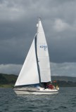 artemis 4250c whyw23 sun 800 3151